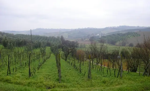 PIT: Approvato il piano paesaggistico toscano