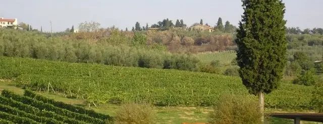 paesaggio toscana campagna cipresso