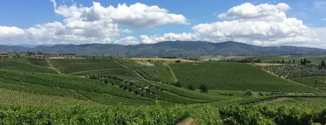 campagna vigneto toscana