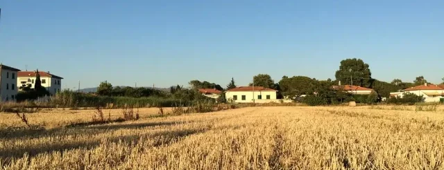 paesaggio toscano