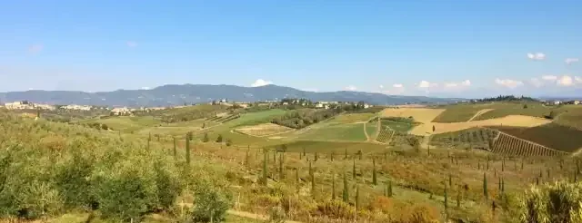 paesaggio campagna cerreto guidi