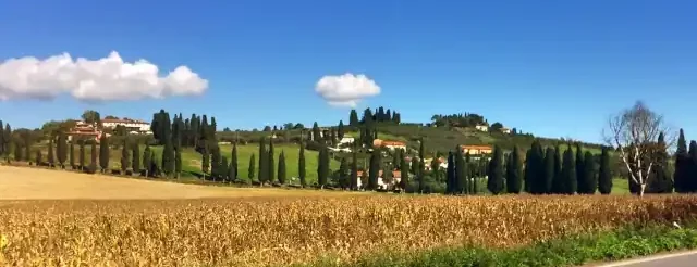 paesaggio toscano cipressi