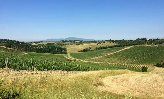 Edificazione in zona rurale come Imprenditore agricolo