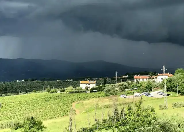 Beni ambientali esclusi da Beni Paesaggistici, e differente regime penale.