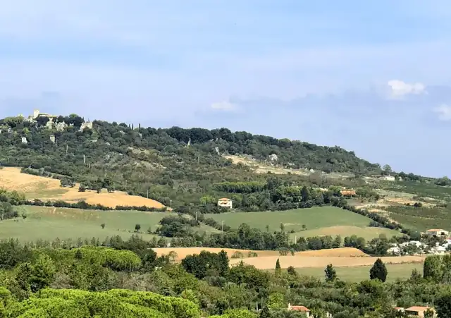 Usi civici: compravendita e interventi edilizi in zone gravate da questi diritti-vincoli