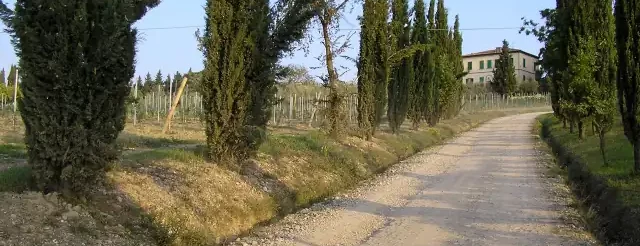 strada campagna cipressi toscana