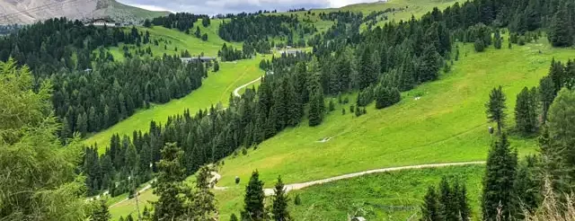 paesaggio montagne prati boschi abeti