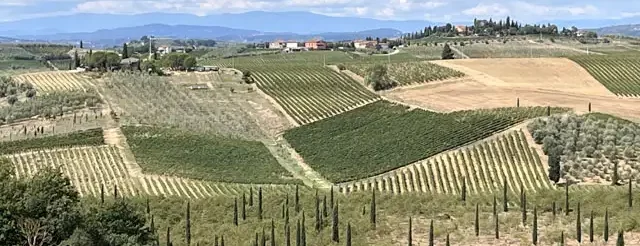 vigneti campagna toscana zona vincolata