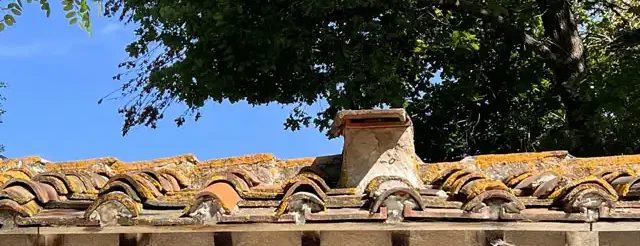 copertura edificio con albero