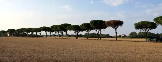 paesaggio strada statale Aurelia Vada