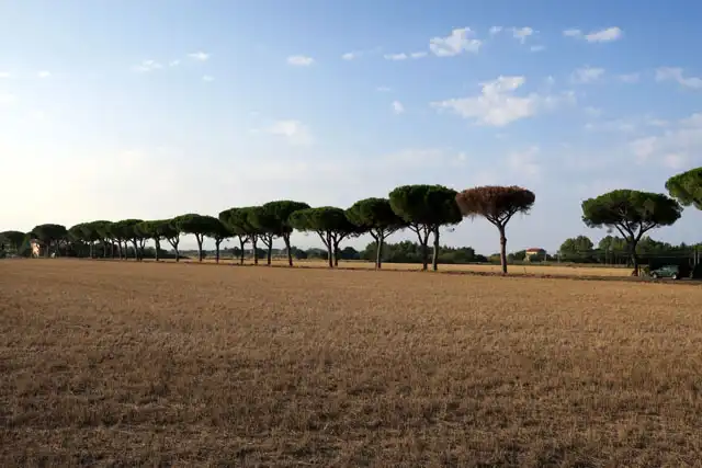 Compatibilità paesaggistica postuma, escluso silenzio-assenso